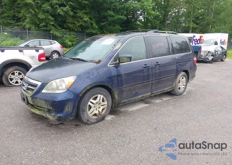 2005 Honda Odyssey Ex-L z USA, uszkodzony, nr VIN 5FNRL38725B001662